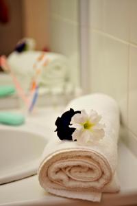 蒙布兰莱班VVF Drôme Provence的浴室水槽上方的毛巾和花