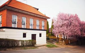 托考伊Antalóczy Winery&Apartments的前面有一棵开花的树的房子