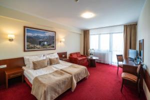 扎科帕内塔特拉酒店的酒店客房设有一张大床和一张书桌。