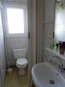苏斯通appt T2 C Bougue的一间带卫生间、水槽和窗户的浴室