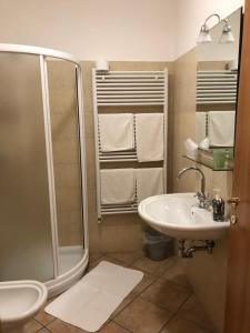 加尔尼亚诺加尼·玛丽卡酒店的带淋浴和盥洗盆的浴室