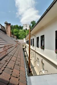 布拉索夫Safrano Palace的从建筑物屋顶上可欣赏到风景