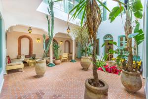 马拉喀什里亚德海伦庭院旅馆的大堂里放着一大堆植物