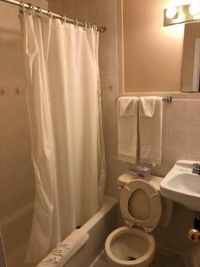尼亚加拉瀑布尼亚加拉汽车旅馆的浴室配有白色的浴帘和卫生间