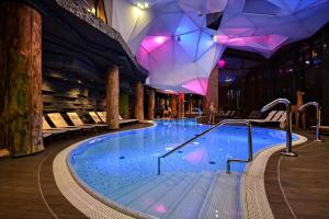 比亚沃维耶扎Hotel Żubrówka Spa & Wellness的一座紫色灯的建筑里的大型游泳池