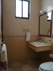 瓦哈卡市Paraje La Huerta的一间带水槽、镜子和卫生间的浴室