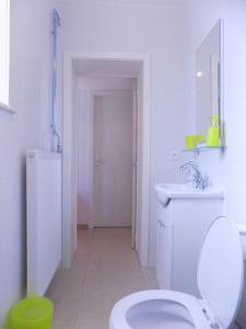 沙勒罗瓦La Lodelinsartoise - Meublé de vacances 3 clés的白色的浴室设有卫生间和水槽。