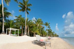 蓬塔卡纳加泰罗尼亚皇家巴瓦罗酒店 - 全包 - 仅限成人的海滩上,有两把椅子,棕榈树和大海