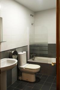 布尔戈斯Hostel Catedral Burgos的一间带卫生间和水槽的浴室