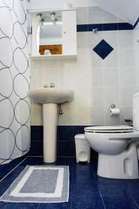 阿吉奥斯普罗科皮奥斯迪娜纳克索斯公寓 的一间带水槽和卫生间的浴室