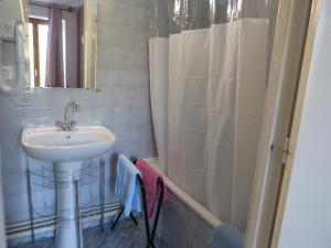 Antrenas小屋酒店的一间带水槽和淋浴的浴室