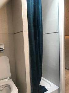 索利纳Apartament Roti Solina的卫生间旁设有带蓝色淋浴帘的淋浴