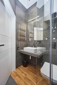 敖德萨Ванный переулок Апартаменты Миконос的一间带水槽和卫生间的浴室