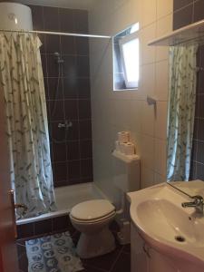 巴尔巴特纳拉布House Ema的浴室配有卫生间、淋浴和盥洗盆。
