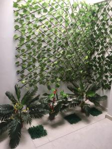 里奥阿查Hotel Atardecer Guajiro的棕榈树覆盖的绿色植物的墙壁