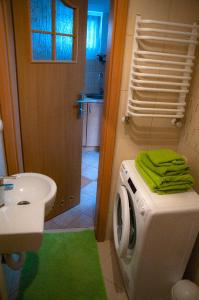 乌斯特卡Apartamenty Tercet, Apartament Kwartet, Apartament DUO的一间带洗衣机和水槽的浴室