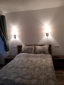 比斯特里察Sara House的卧室配有一张床,墙上有两盏灯