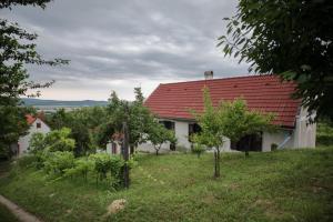 RaposkaHillside Vendégház a Szent György-hegyen的白色的房子,有红色的屋顶和一些树木
