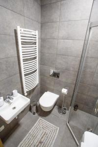 帕兰加Vytauto 801的浴室配有卫生间、盥洗盆和淋浴。