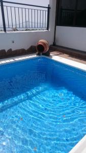 坎德拉里亚Sunset Las Hadas的蓝色海水大型蓝色游泳池
