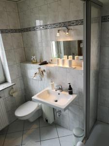 门登Ferienwohnung Menden的一间带水槽、卫生间和镜子的浴室
