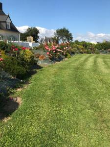 普洛默迪耶尔恩梅内斯-霍姆住宿加早餐旅馆的绿草成荫的院子,粉红色的花朵和房子