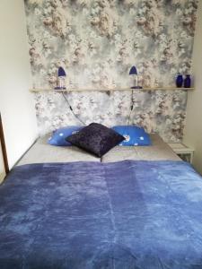 LångasjöSTF Långasjö Vandrarhem的一间卧室配有蓝色的床和蓝色枕头