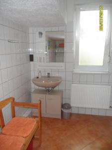 Dändorf3***Ferienwohnungen Neumann的一间带水槽和镜子的小浴室
