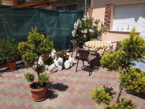 比克Tulipán Apartman的一个带桌子和一束盆栽植物的庭院