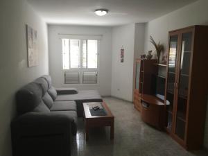 维辛达里奥罗斯蓝诺1-L1公寓的带沙发和咖啡桌的客厅