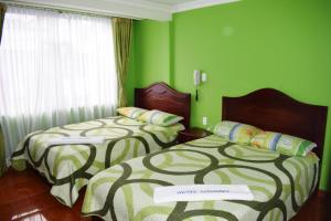 帕斯托Hotel Londres的绿墙客房内的两张床