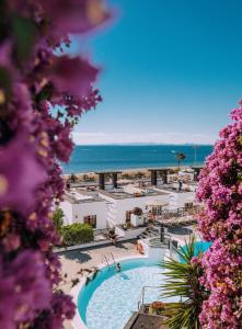 卡门港莫拉纳公寓酒店的享有带游泳池和大海的度假胜地的景致