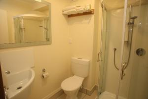 旺格努伊The Grand Hotel Wanganui的浴室配有卫生间、盥洗盆和淋浴。