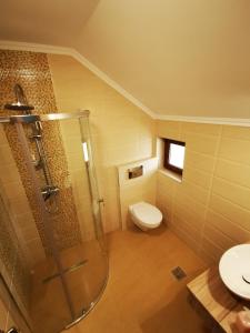 克卢日-纳波卡BBS Residence的带淋浴、卫生间和盥洗盆的浴室