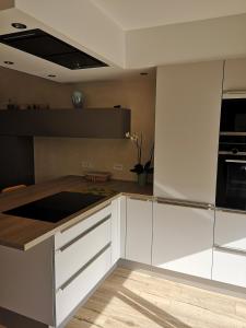 Montigny-lès-MetzDuplex cozy的厨房配有白色橱柜和冰箱。