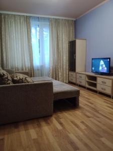 哈尔科夫2 к квартира между двумя станциями метро Студенческая и Академика Павлова的客房设有床、电视和沙发。