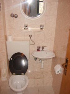特罗吉尔洛索旅舍的一间带卫生间和水槽的浴室