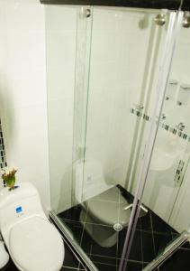 杜伊塔马HOTEL OLIMPIA的一间带卫生间和淋浴的浴室