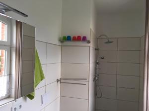 什未林Ferienwohnung an der Berliner Seenkette的带淋浴和卫生间的浴室。