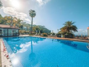 丰沙尔海洋花园酒店的一个种有棕榈树的大型蓝色游泳池