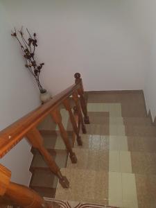 佩特罗瓦纳莫鲁Sobe i apartmani Marović的楼梯,带木栏杆和棋盘地板