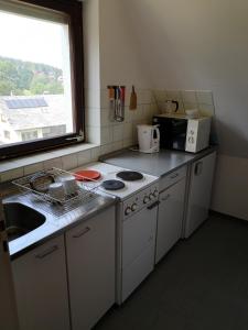 申瓦尔德Ferienwohnung Lydia的厨房配有炉灶、水槽和窗户。