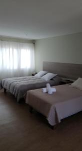 阿里卡Hotel Amaru Express的两张位于酒店客房的床,配有毛巾