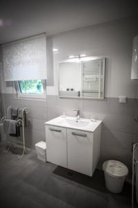 伊万尼奇格勒Apartman Magnolia的浴室配有白色水槽和卫生间。
