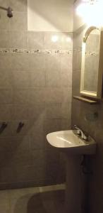 布宜诺斯艾利斯Hotel Manzanares Plaza的浴室配有盥洗盆和带镜子的淋浴
