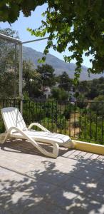 帕诺尔莫斯卡里莫斯Mela Studios的庭院上的白色躺椅