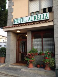塔尔奎尼亚奥里利亚酒店 的前面有盆栽植物的酒店入口