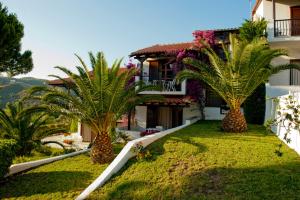 圣帕拉斯凯维安娜玛丽亚别墅酒店的院子里两棵棕榈树的房子