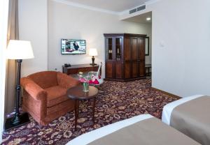 Ani Grand Hotel Yerevan的休息区