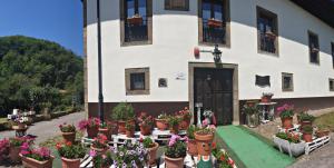 SotielloHotel Rural Palacio de Galceran的前面有很多盆栽植物的建筑